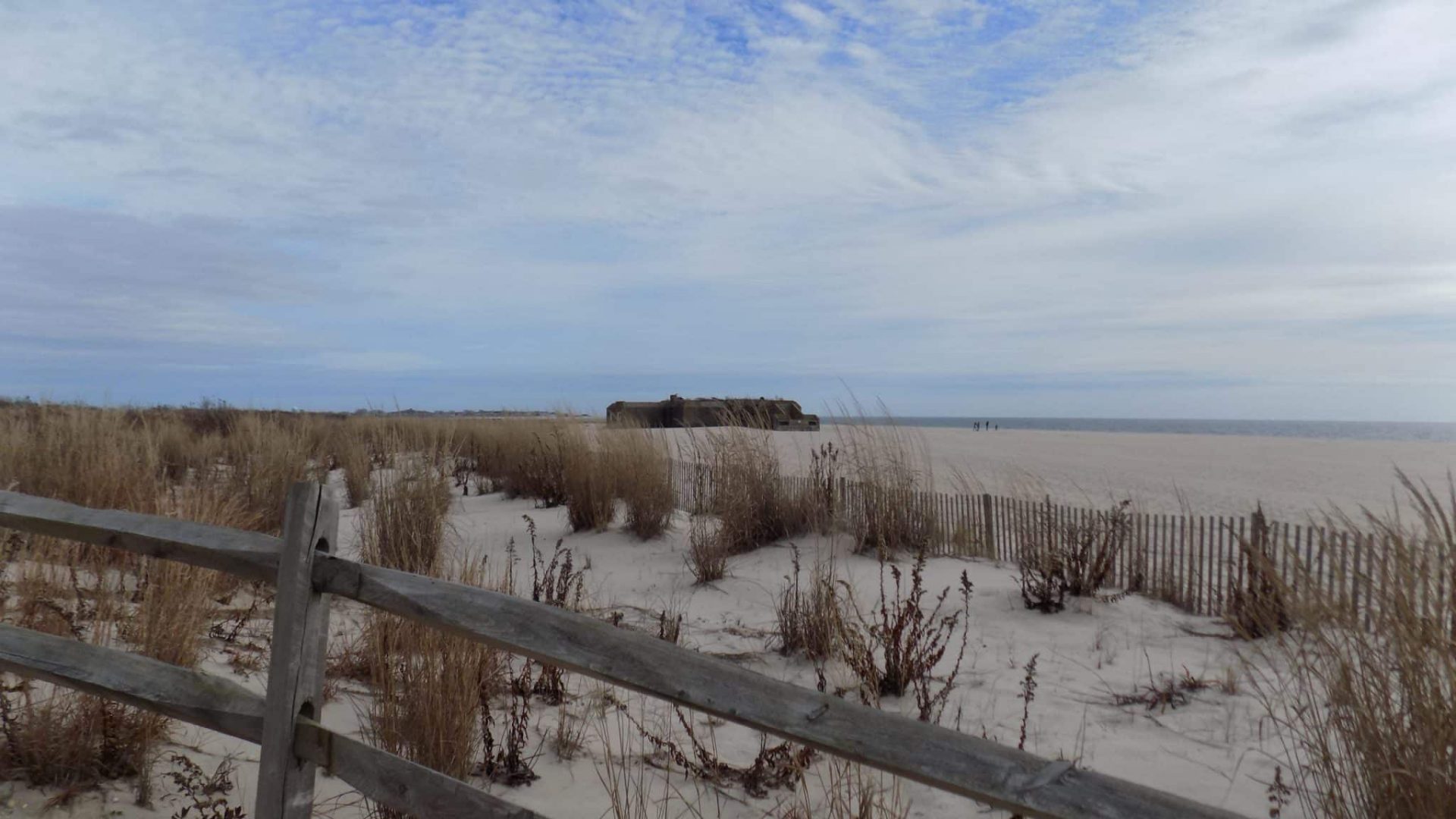 A view of the beach