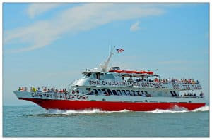 The red and white Cape May Whale Watcher boat 
