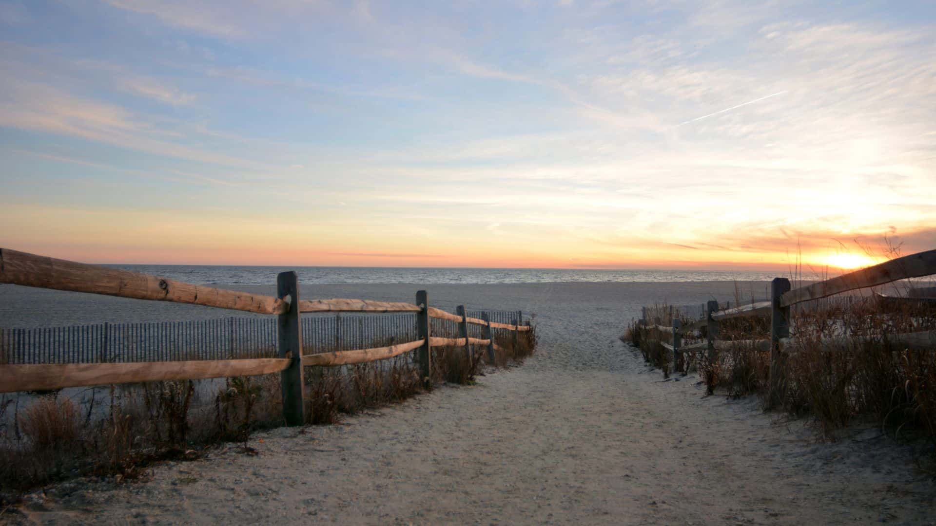 View of path to beach with fence on either side and sea grass