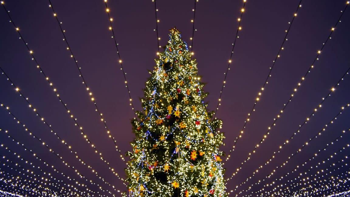 View looking up a lit Christmas tree with strands of lights radiating outward