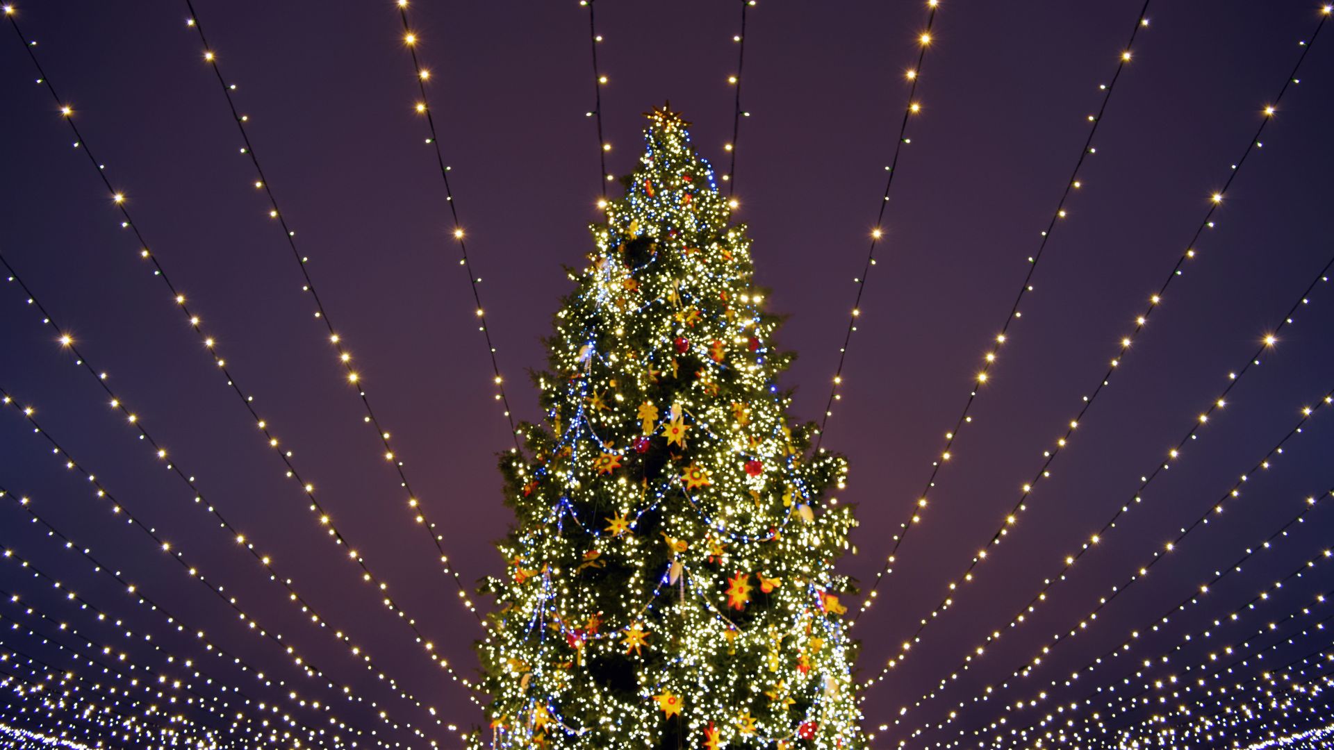 View looking up a lit Christmas tree with strands of lights radiating outward