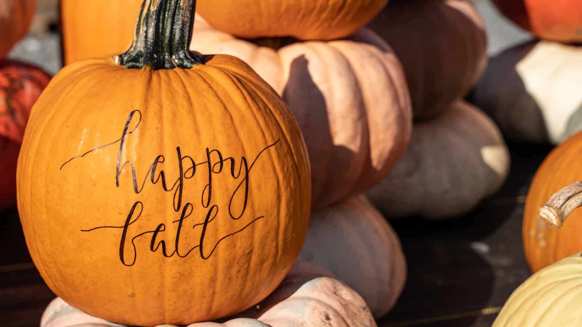 Group of different sized pumpkins, one on left with "happy fall" written on it