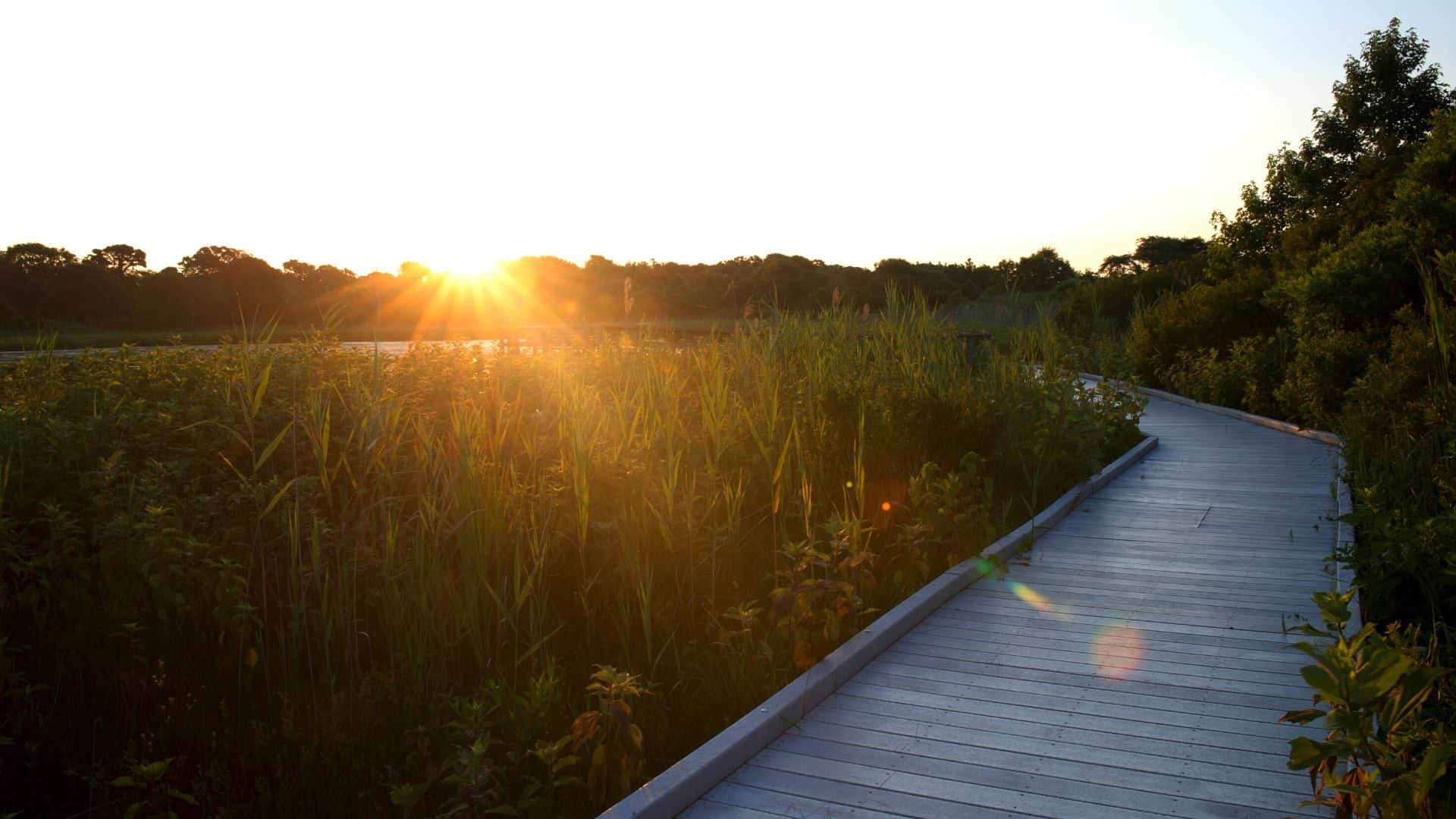 Boardwalk at Cape May State Park at sunrise.