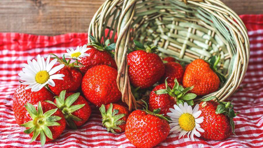 a tipped over wicker basket spilling fresh strawberries and daisies onto a red and white checkered tablecloth