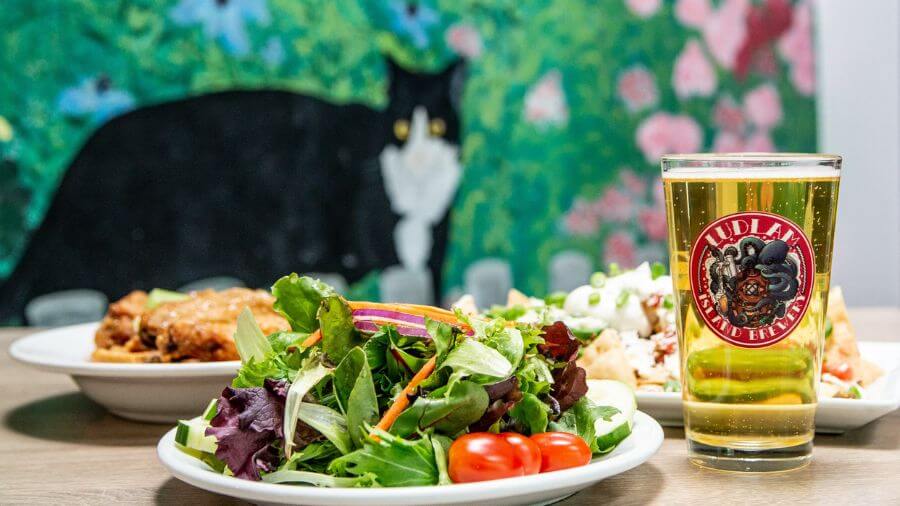 A salad, an entree, and beer on a table with the blurred image of a cat mural on the wall in the backdrop at the Mad Batter restaurant.