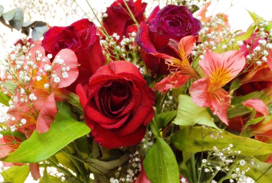 Close up view of a bouquet with red roses, pink flowers, and baby's breath