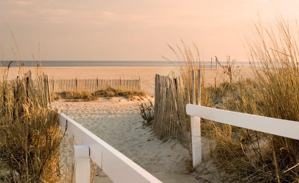 Sandy beach with wood picket fencing and long grasses with the ocean in the background